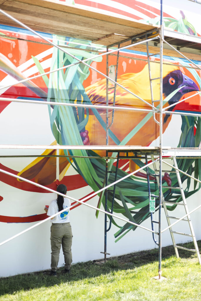 Orlu Arts X Pacific Ridge Builders Project