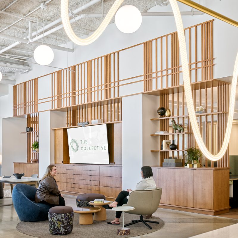 AP+I Design_The Collective (4)